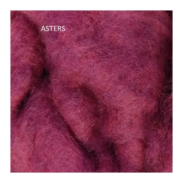 Asters