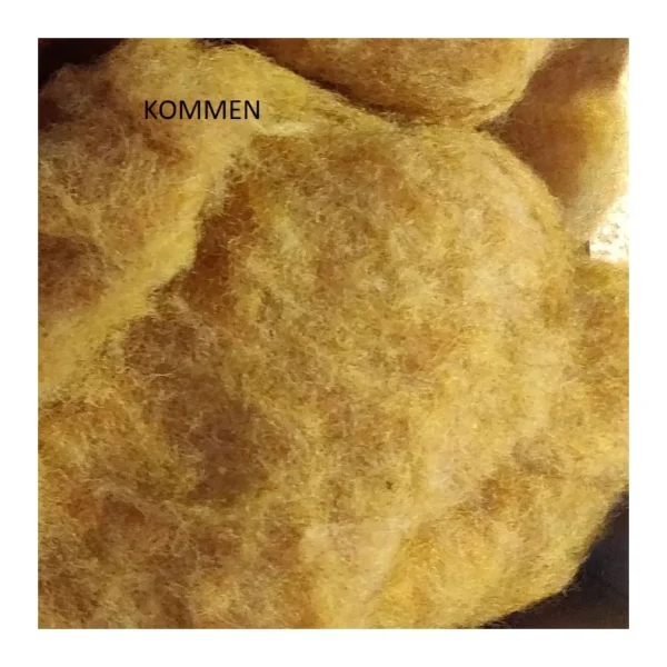 Kommen