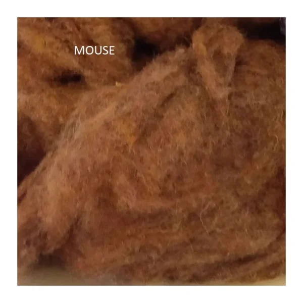 Mouse