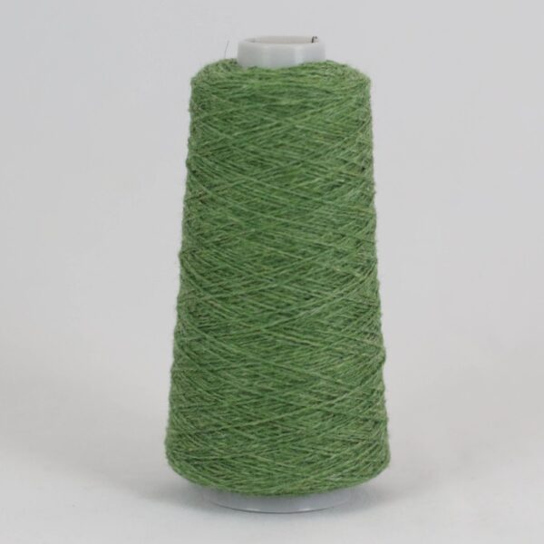 25 g