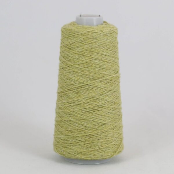 25 g