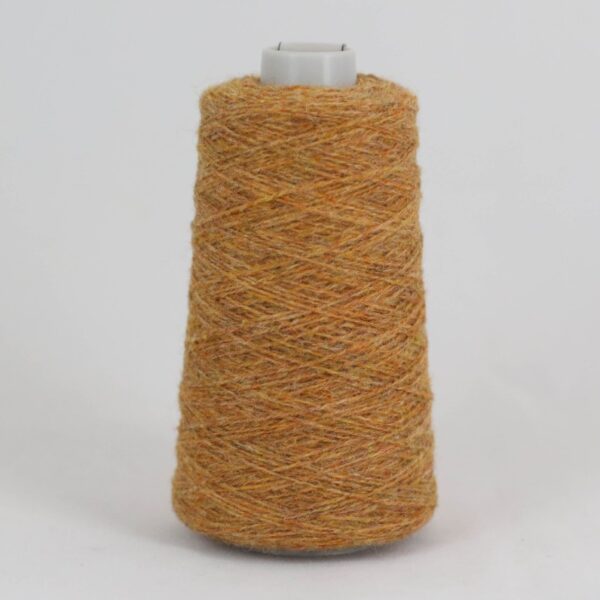25 g