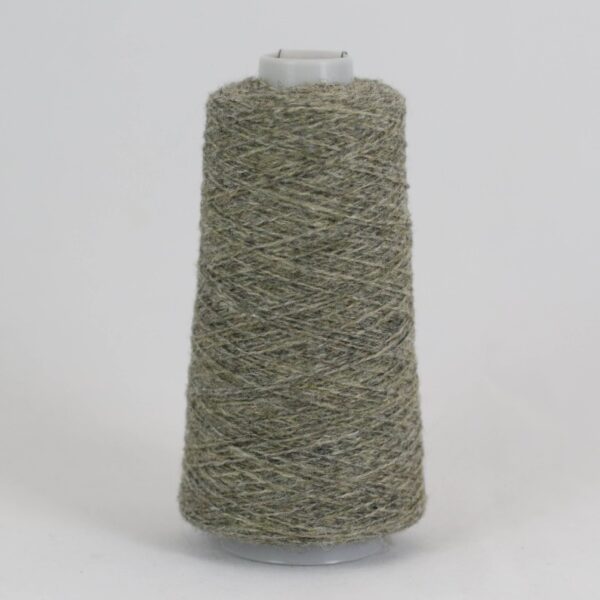 25 g
